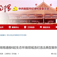 超時、超量、越界采砂！湖南通報6起生態環境領域違紀違法典型案例 2起與砂石有關！