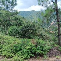 2礦同出！260萬方/年！廣東砂石大礦掛牌出讓