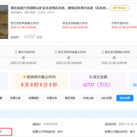 1.5元/噸！亞東水泥競(jìng)得湖北武穴950萬噸/年砂石大礦